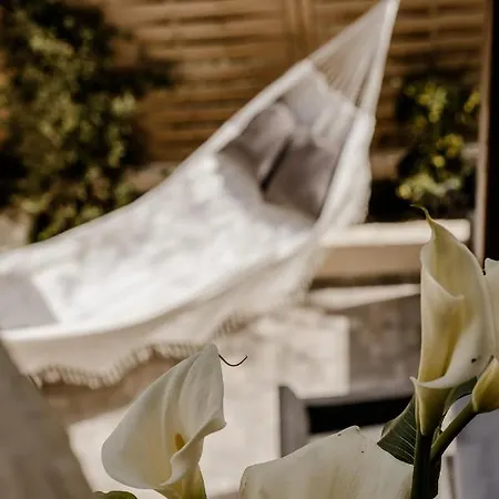 Aiora Yard בית נופש