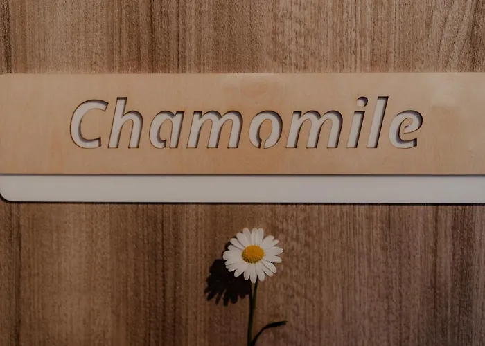 Aiora Yard 度假居 阿莫利亚尼岛