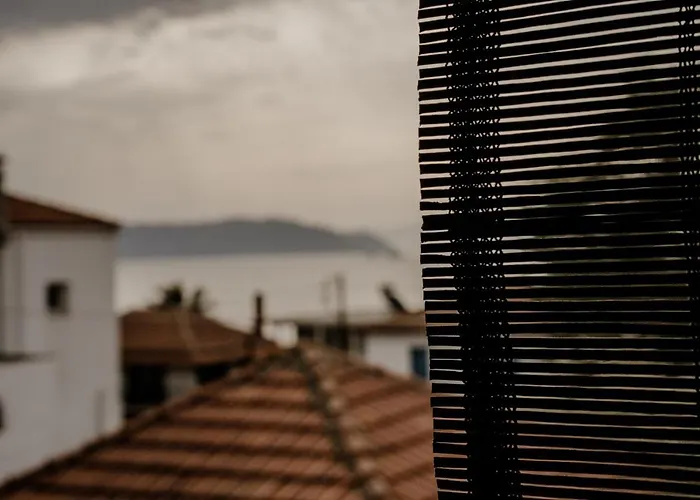 Aiora Yard 阿莫利亚尼岛