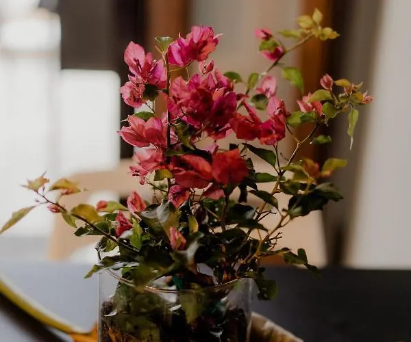 Aiora Yard 度假居 阿莫利亚尼岛