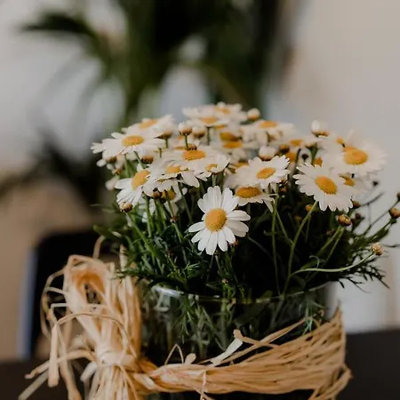 Semesterbostad Aiora Yard Amoliani